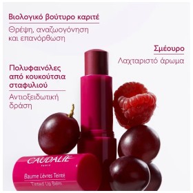 Caudalie Tinted Lip Balm, Ενυδατικό Στικ για τα Χείλη με Χρώμα & Άρωμα Σμέουρου 4.5gr – φωτογραφία 4